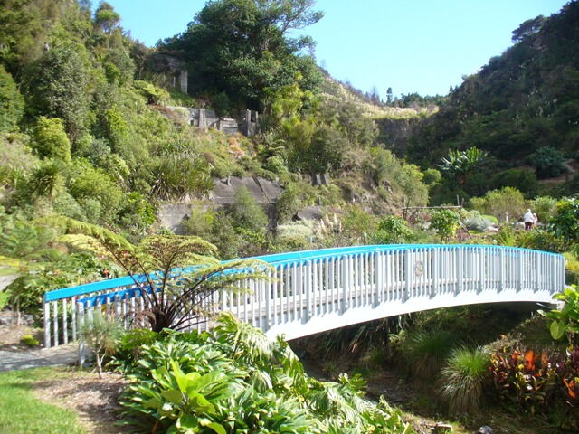 Subtropical Whangarei Quarry Garden