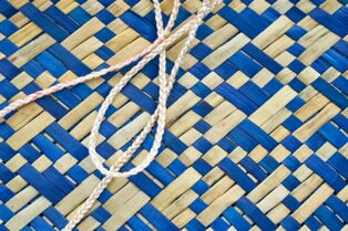 Blue kete with muka handles - Whangarei Photography