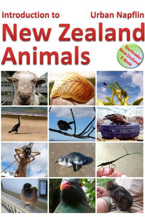 Check out our ebook: New Zealand Animals!