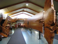 Kauri Museum Matakohe