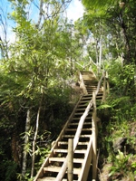 Subtropical Quarry Garden Loop Walk