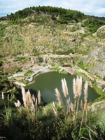 Subtropical Quarry Garden Loop Walk