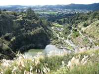 Subtropical Quarry Garden Loop Walk