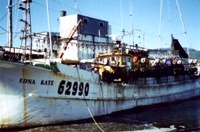EdnaKatesquidboat