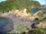 Tutukaka Head