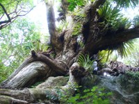 Bed And Breakfast Whangarei Heads Bed And Breakfast Whangarei Heads