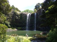 Whangarei_Falls