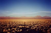 atacamashadow
