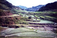banaueviewback