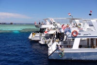 redsea