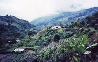 sangerardo