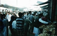 srinagar