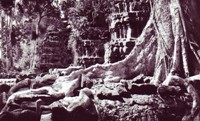 taprohmspuong