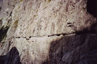 uinapath